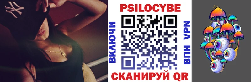 блэк спрут сайт  Выборг  Псилоцибиновые грибы MAGIC MUSHROOMS 