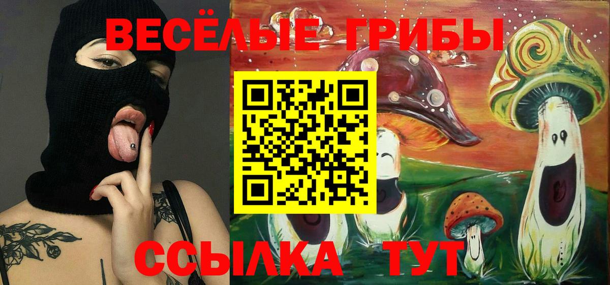 Псилоцибиновые грибы мицелий Выборг