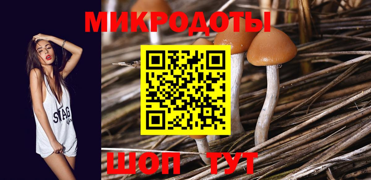 Выборг  Псилоцибиновые грибы GOLDEN TEACHER  Галлюциногенные грибы Cubensis  даркнет сайт  Вход с VPN 