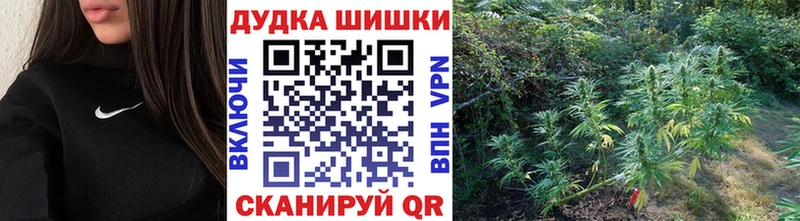 мега онион Выборг Шишки марихуана SATIVA & INDICA
